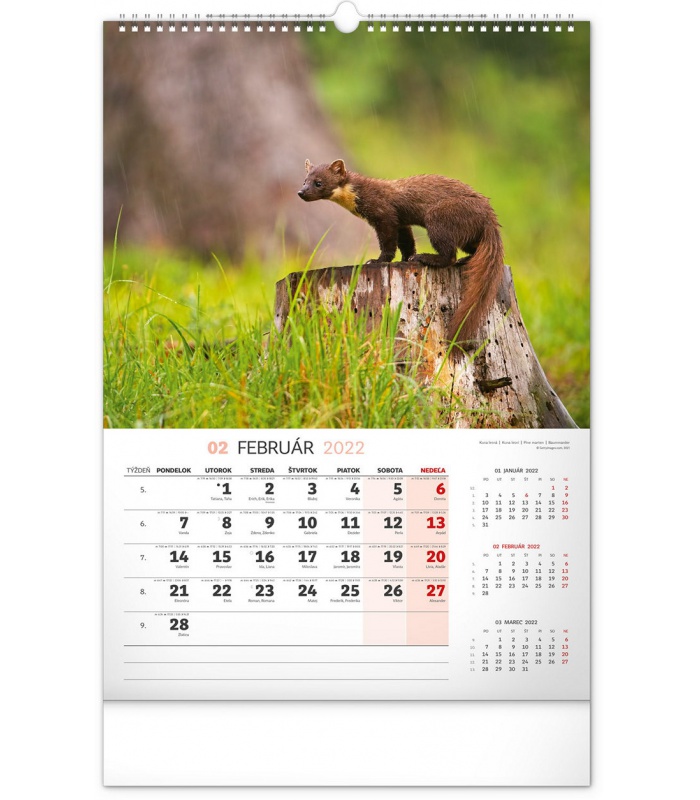 Wall calendar Hunting 2022